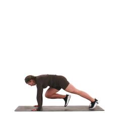 Mountain Climbers (Low Impact) 
  loading=