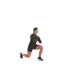 Reverse Lunge to Knee Drive 
  loading=
