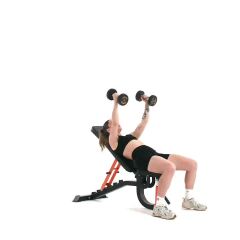 Incline Dumbbell Chest Flye 
  loading=