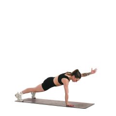 High Plank Reaches 
  loading=