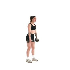 Dumbbell Deadlift to Row 
  loading=