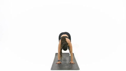 Handstand Wall Walk 
  loading=