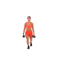 Dumbbell Reverse Lunge 
  loading=
