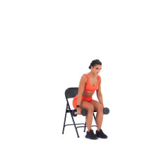 Seated Dumbbell Lateral Raise 
  loading=