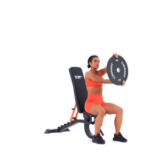 Seated Plate Twists 
  loading=