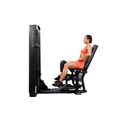 Hip Adductor 
  loading=