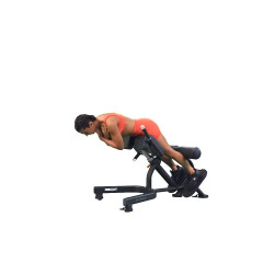 Glute-focused Back Extension 
  loading=