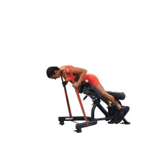 Banded Glute-focused Back Extension 
  loading=