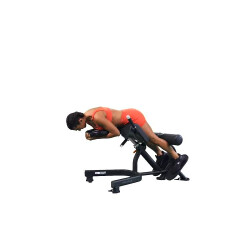 Loaded Glute-focused Back Extension 
  loading=
