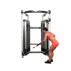 Single-arm Bent Over Cable Row 
  loading=