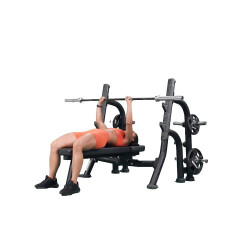 Bench Press 
  loading=