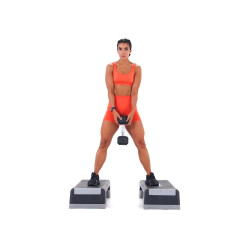 Both Feet-elevated Dumbbell Sumo Squat 
  loading=