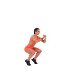 Squat Hold (Heels-elevated) 
  loading=