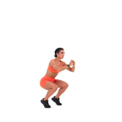Heels-elevated Squat Pulses 
  loading=