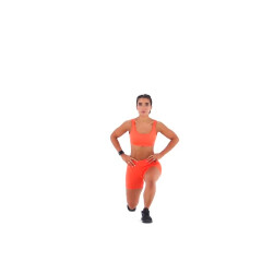 Reverse Lunge 
  loading=