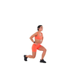 Reverse Lunge Pulses 
  loading=