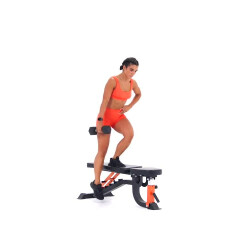 Contra-lateral Lateral Step Ups 
  loading=