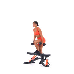 Dumbbell Step Ups 
  loading=