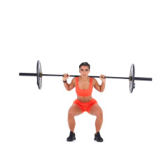 Paused Back Squat 
  loading=