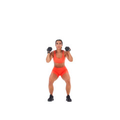 Dumbbell Squat Thruster 
  loading=