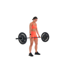 Barbell Romanian Deadlift 
  loading=