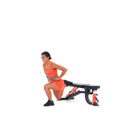 Bulgarian Split Squat 
  loading=