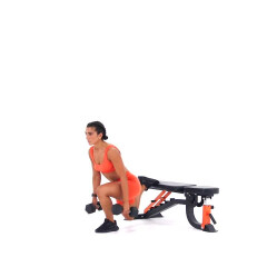 Dumbbell Bulgarian Split Squat 
  loading=