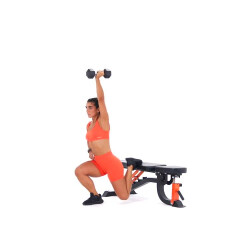 Overhead Dumbbell Bulgarian Split Squat 
  loading=