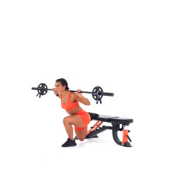 Barbell Bulgarian Split Squat 
  loading=