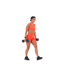 Dumbbell Walking Lunge 
  loading=