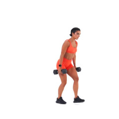 Glute-bias Dumbbell Walking Lunge 
  loading=