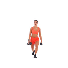 Dumbbell Reverse Lunge (Alternating) 
  loading=