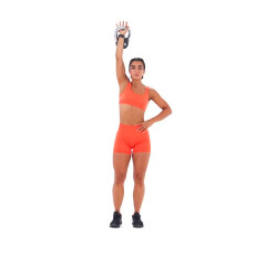 Overhead Reverse Lunge 
  loading=
