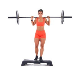 Deficit Reverse Barbell Lunge 
  loading=
