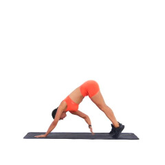 High Plank Toe Tap 
  loading=