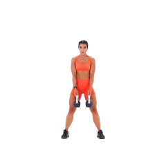 Dual Kettlebell Sumo Deadlift 
  loading=
