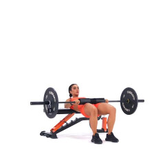 1 1/4 Rep Barbell Hip Thrust 
  loading=
