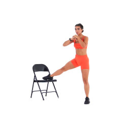 Foot-elevated Cossack Squat 
  loading=