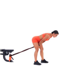 Resistance Band Glute Pull Through 
  loading=