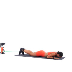 Resistance Band Single-leg Lying Leg Curl 
  loading=