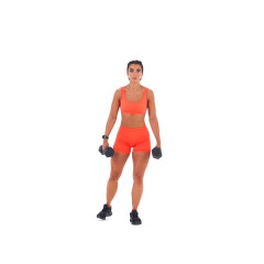 Dumbbell Curtsy Lunge 
  loading=
