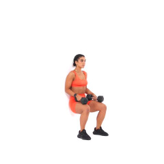 Weighted Wall Sit 
  loading=