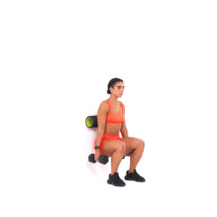 Dumbbell Hack Squat with Foam Roller 
  loading=