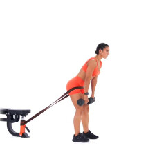 Band-resisted Dumbbell Romanian Deadlift 
  loading=