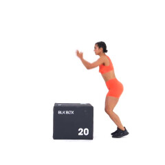 Box Jump 
  loading=