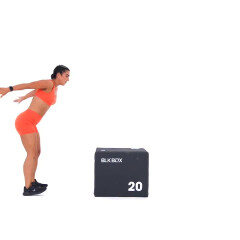 Box Jump Overs 
  loading=
