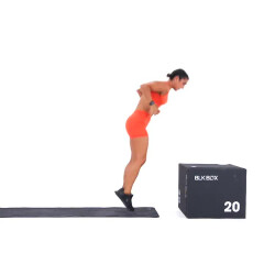 Burpee Box Jump 
  loading=