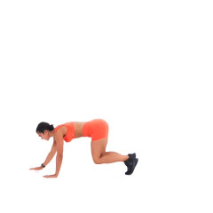 Bear Crawls 
  loading=