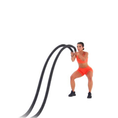 Battle Ropes (Slams) 
  loading=