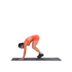 Burpee Tuck Jump 
  loading=